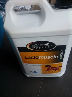 HORSE MASTER LACTOMUSCLE 5L