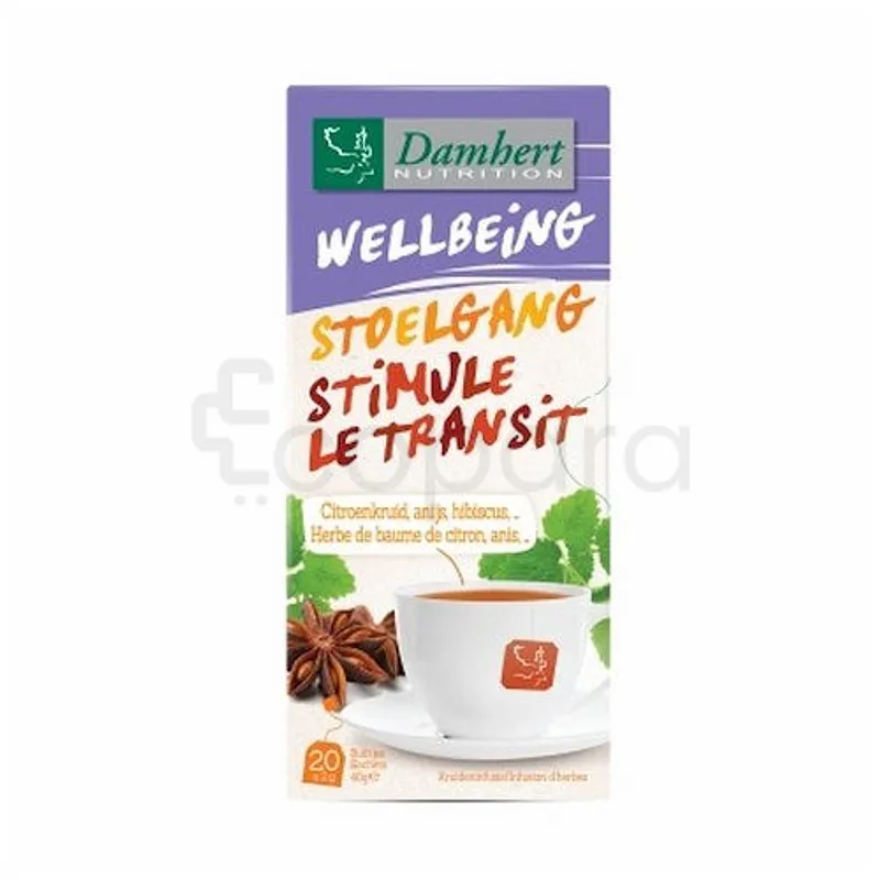DAMHERT WELLBEING TEA TIME STIMULE LE TRANSIT BOITE DE 20 SACHETS
