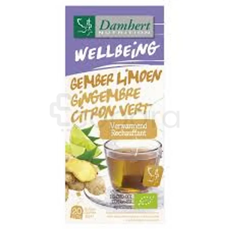 DAMHERT WELLBEING TEA TIME GINGEMBRE CITRON VERT BOITE DE 20 SACHETS