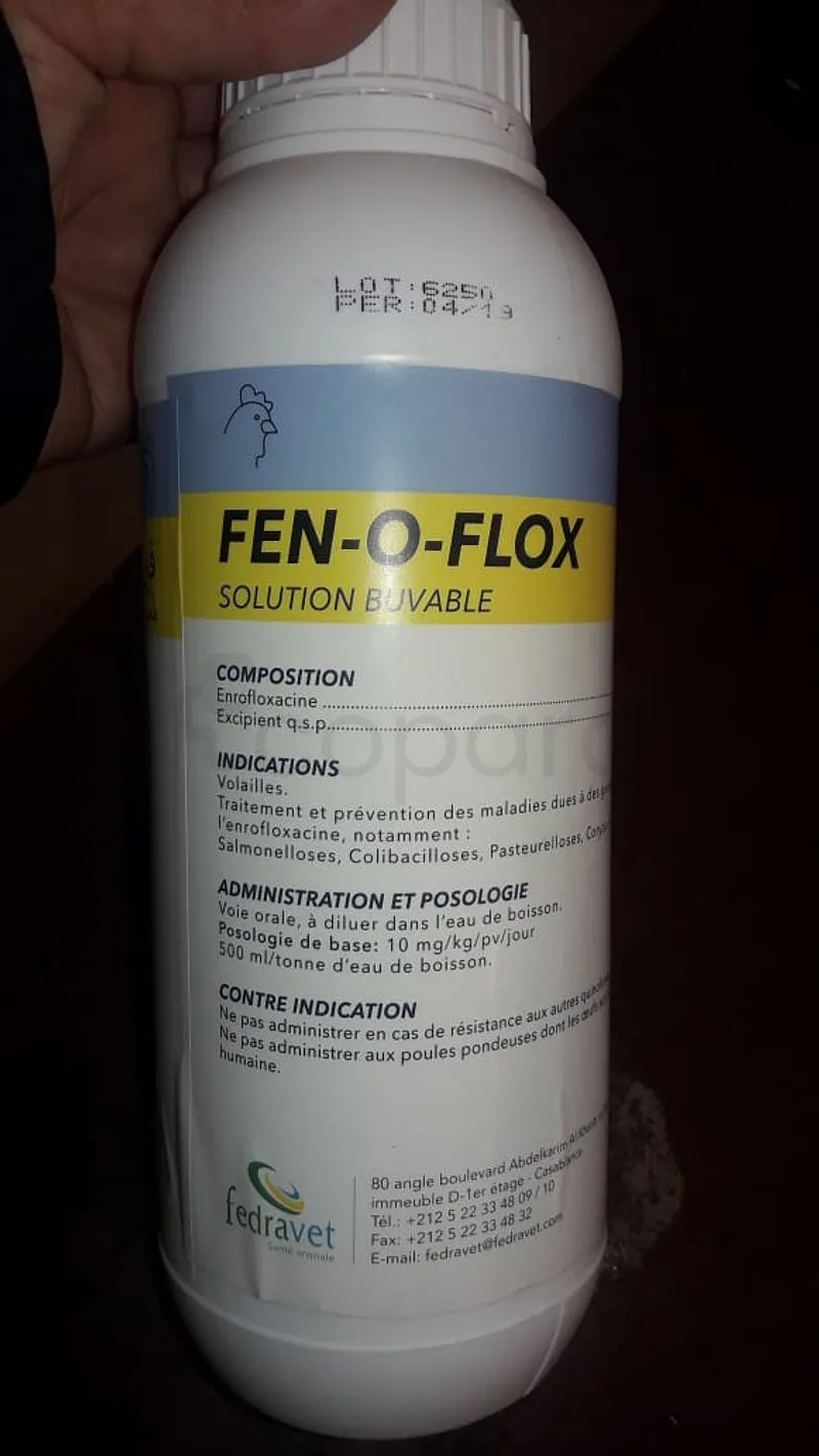 FEN-O-FLOX SOLUTION BUVABLE 1000ML