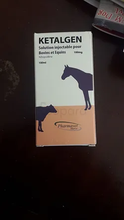 KETALGEN 100ML