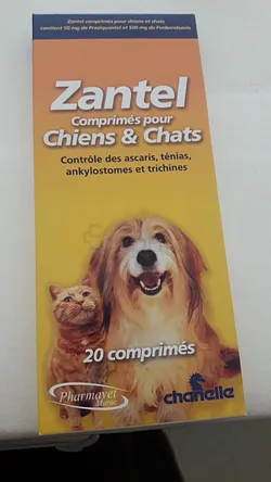 ZANTEL CHIENS ET CHATS BOITE DE 20 COMPRIMES