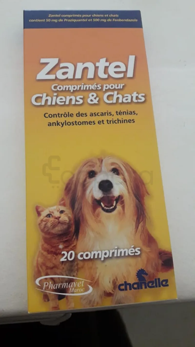 ZANTEL CHIENS ET CHATS BOITE DE 20 COMPRIMES