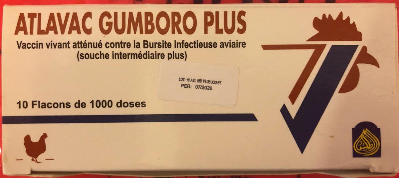 ATLAVAC GUMBORO PLUS BOITE DE 10