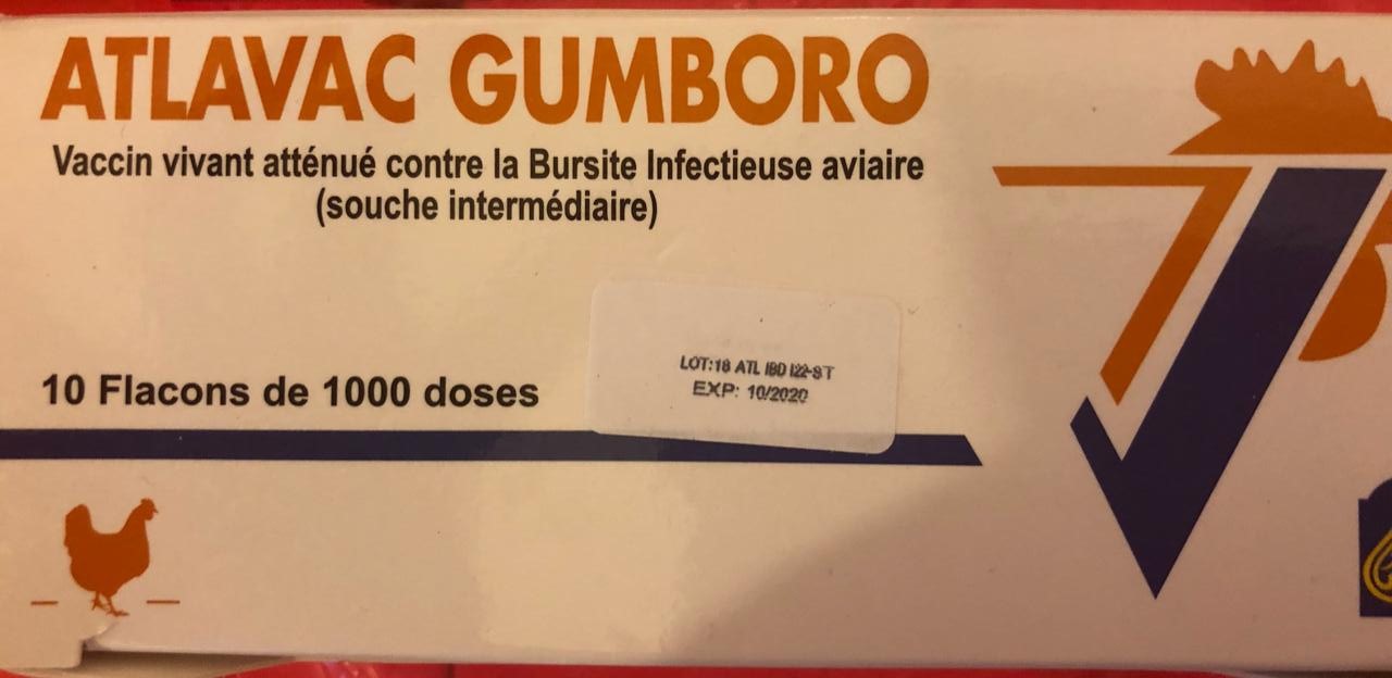 ATLAVAC GUMBORO BOITE DE 10