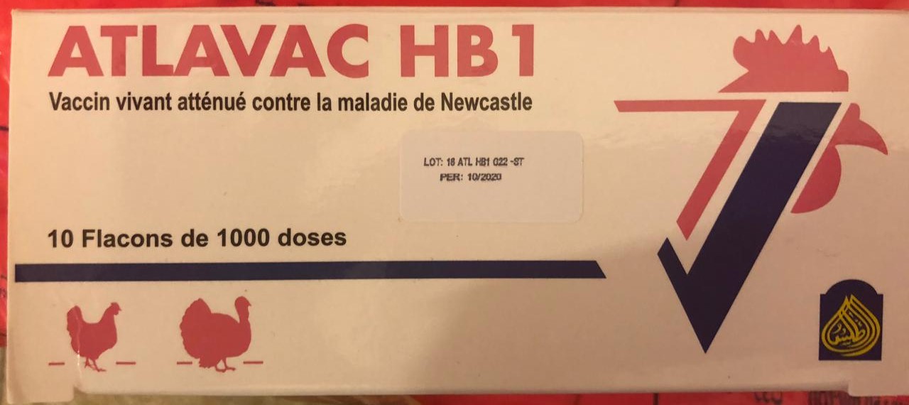 ATLAVAC HB1 BOITE DE 10