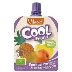 VITABIO COOL FRUITS POMME MANGUE ANANAS 90G
