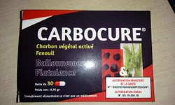CARBOCURE CHARBON VEGETAL ACTIVE BOITE DE 30 GELULES