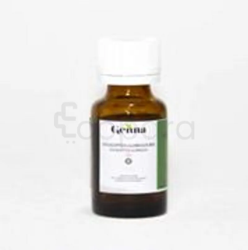 GENNA HUILE ESSENTIELLE D'EUCALYPTUS GLOBULUS BIO 10ML