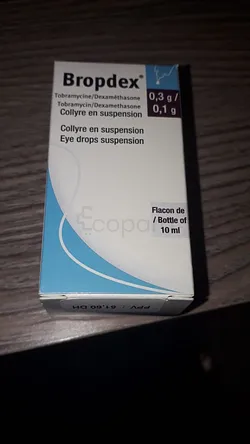 BROPDEX 0.3G/0.1G 10ML COLLYRE