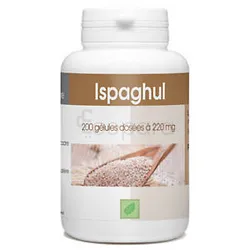 GPH ISPAGHUL 220MG BOITE DE 200 GELULES
