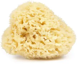 NAJEL EPONGE NATURELLE NATURAL SPONGE