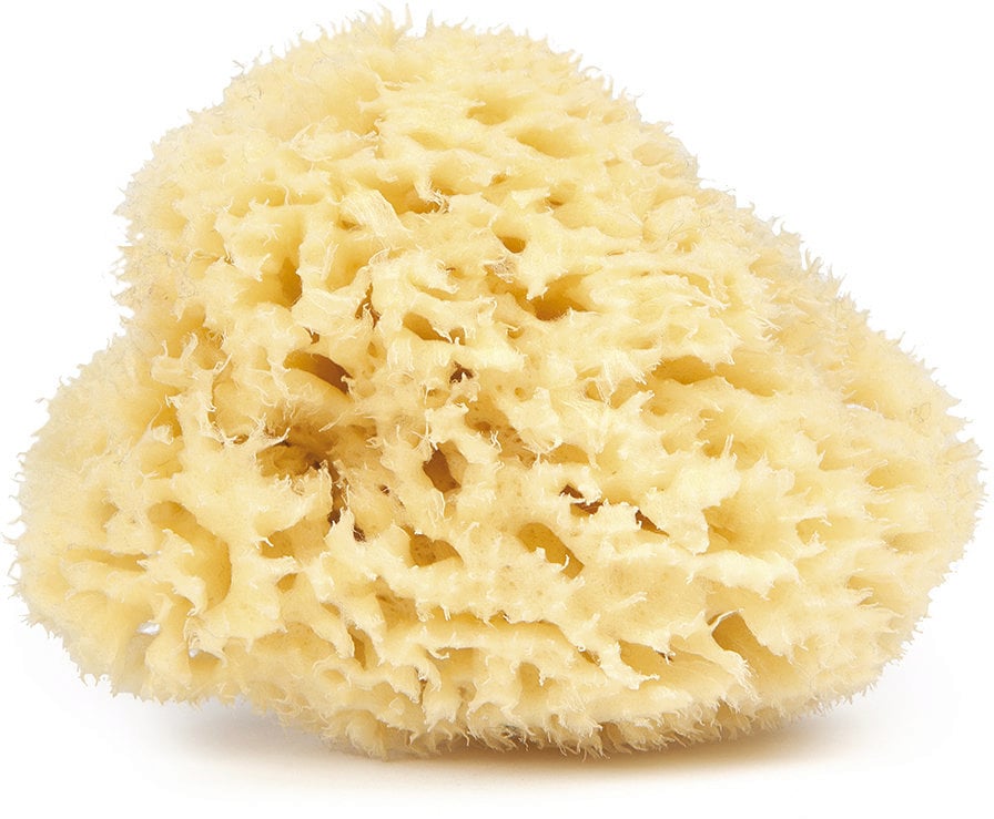 NAJEL EPONGE NATURELLE NATURAL SPONGE