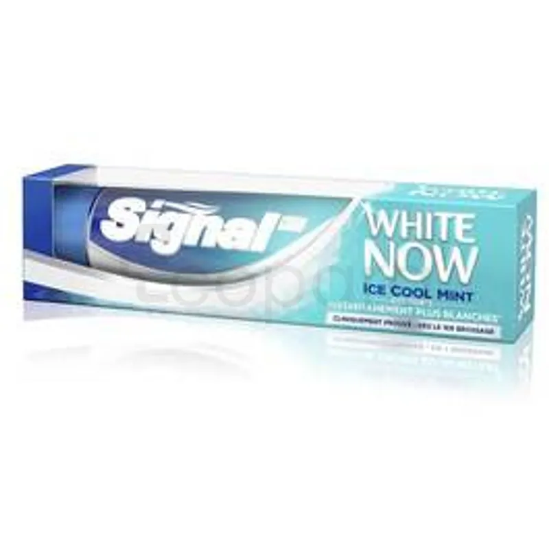 SIGNAL WHITE NOW ICE COOL MINT DENTIFRICE 75ML