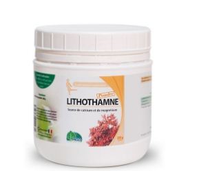 MGD LITHOTHAMNE POUDRE 250G
