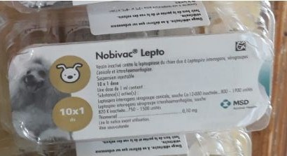 NOBIVAC LEPTO 10*1 DOSE