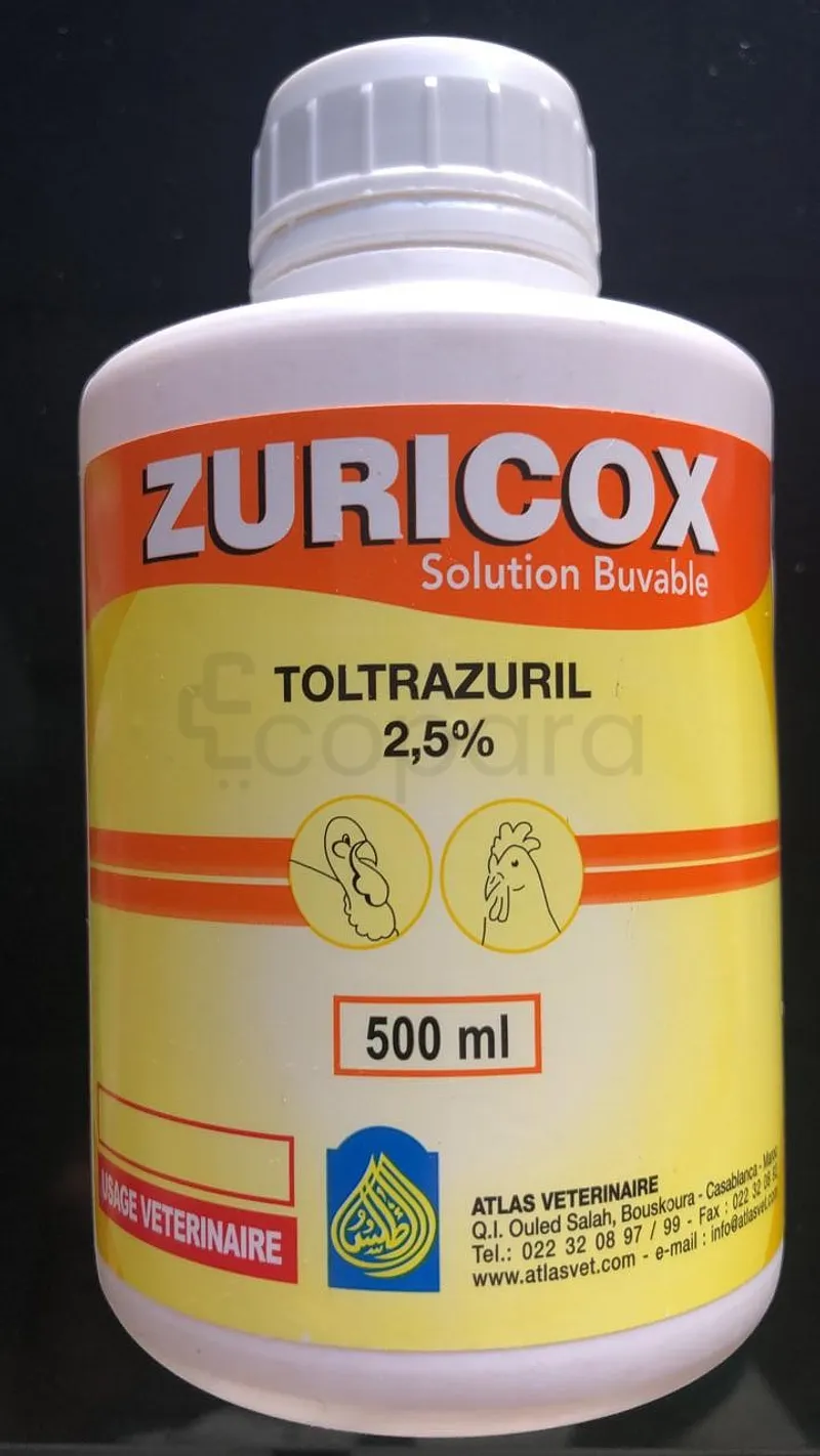 ZURICOX SOLUTION BUVABLE 500ML