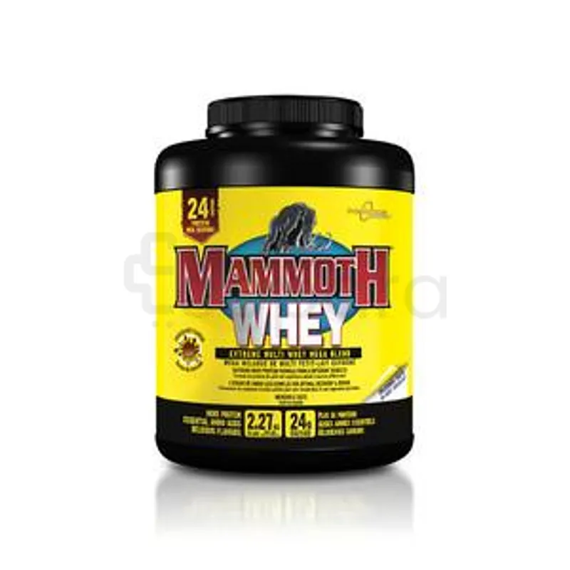 UNIVERSAL NUTRITION ULTRA MASS 4500 CHOCOLATE 4.23KG