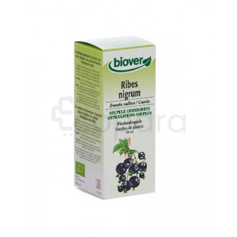 BIOVER RIBES NIGRUM 50ML