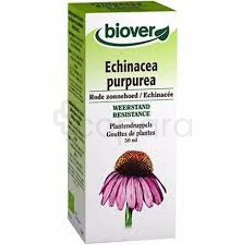 BIOVER ECHINACEA PURPUREA 50ML