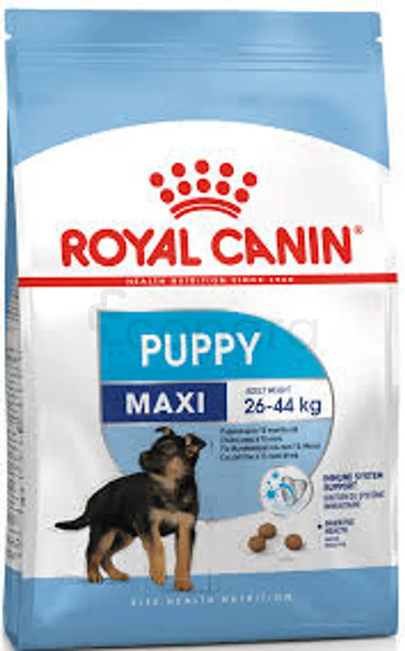 ROYAL CANIN PUPPY MAXI 4KG