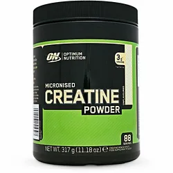 OPTIMUM NUTRITION ON MICRONISED CREATINE POWDER 317G