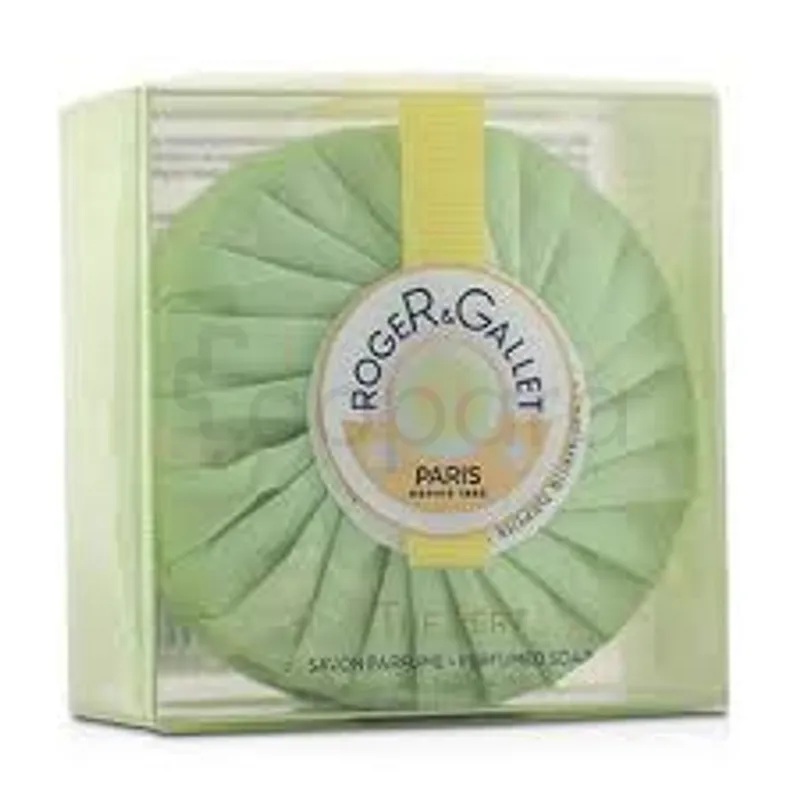 ROGER ET GALLET THE VERT SAVON BOITE DE VOYAGE 100G