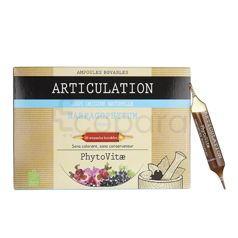 PHYTOVITAE ARTICULATION HARPAGOPHYTUM CASSIS BOITE DE 20 AMPOULES