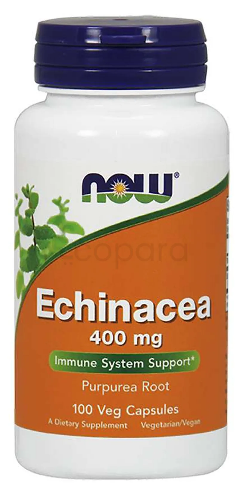 NOW ECHINACEA 400MG BOITE DE 250 CAPSULES