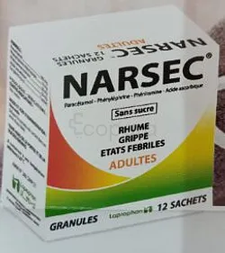 NARSEC ADULTES BOITE DE 12 SACHETS