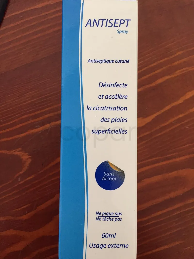ANTISEPT SPRAY 60ML
