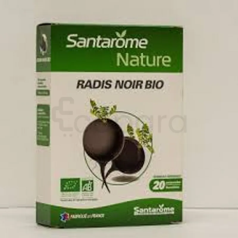 SANTAROME NATURE RADIS NOIR BIO BOITE DE 20