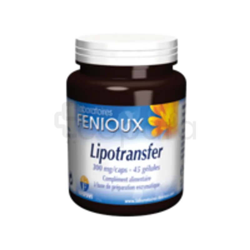 FENIOUX LIPOTRANSFER BOITE DE 45 GELULES