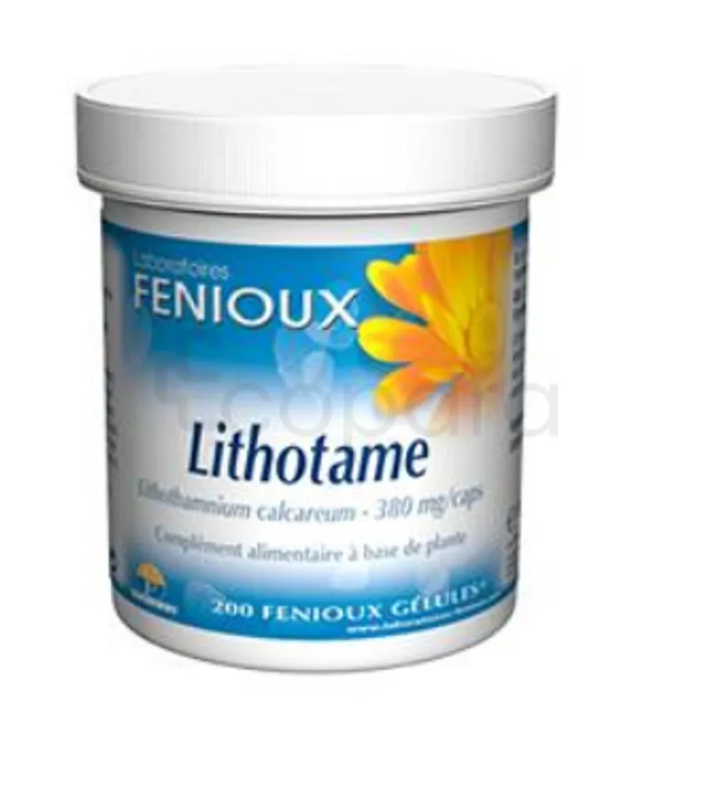 FENIOUX LITHOTAME BOITE DE 200 GELULES