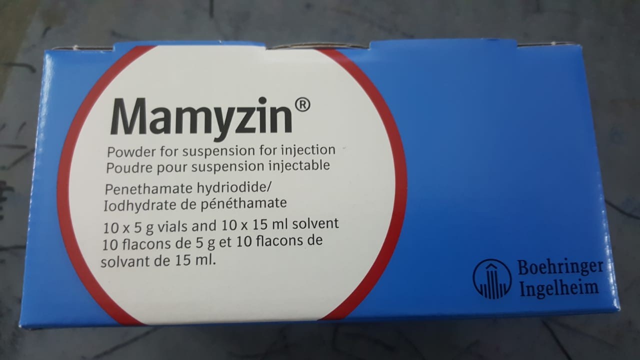MAMYZIN POWDER FOR SUSPENSION FOR INJECTION 10*15ML