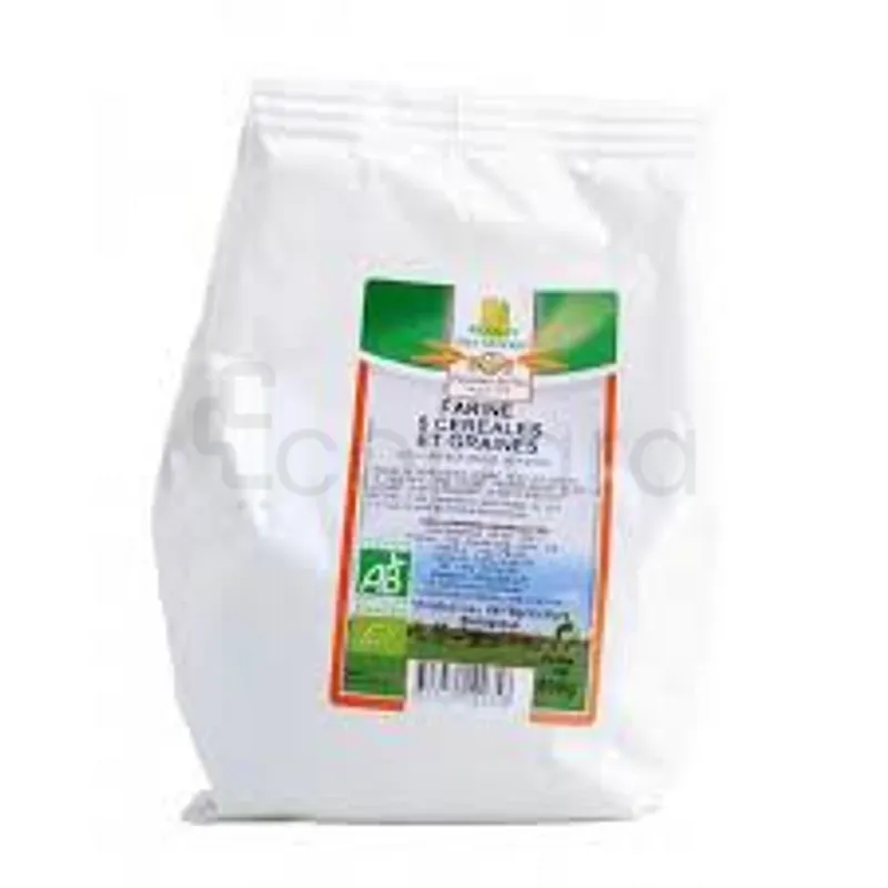 MOULIN DES MOINES FARINE 5 CEREALES ET GRAINES 500G