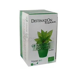 DESTINATION INFUSION MENTHE POIVRÉE BIO BOITE DE 20