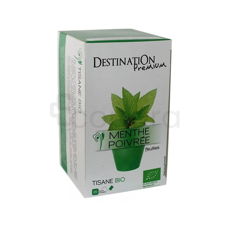 DESTINATION INFUSION MENTHE POIVRÉE BIO BOITE DE 20
