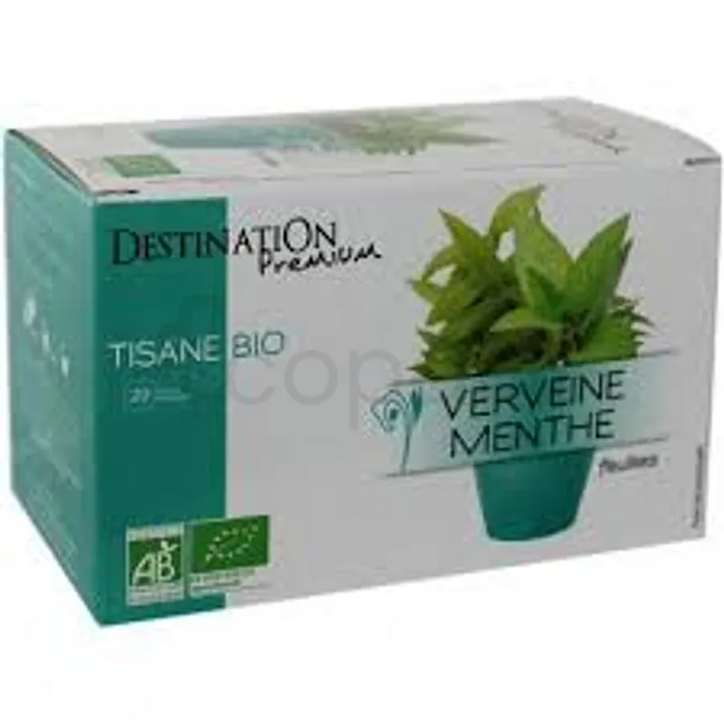 DESTINATION TISANE VERVEINE MENTHE BIO BOITE DE 20