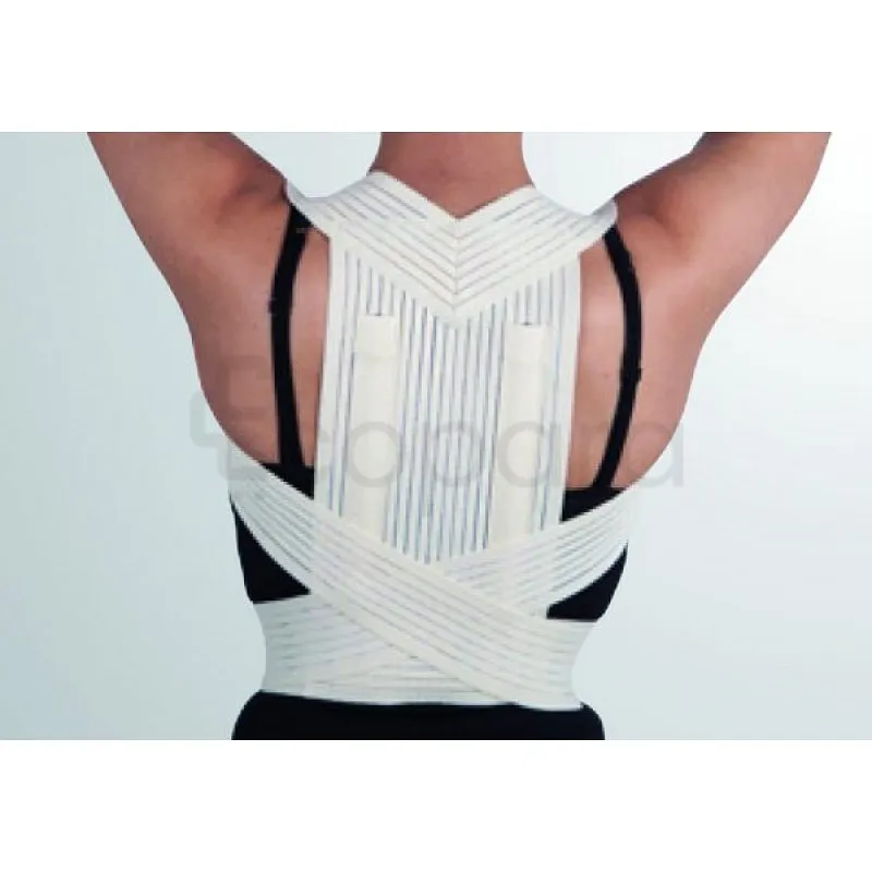 BERGER REDRESSE DOS TAILLE L REFERENCE BG406