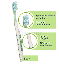 PAROGYL BROSSE A DENTS STAR