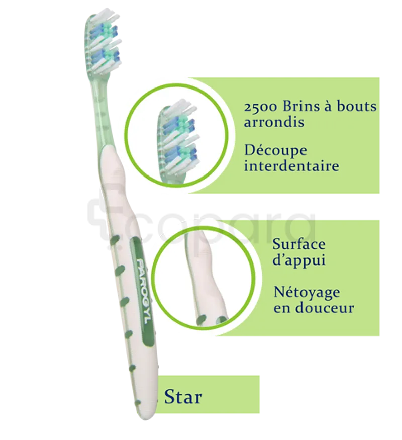 PAROGYL BROSSE A DENTS STAR