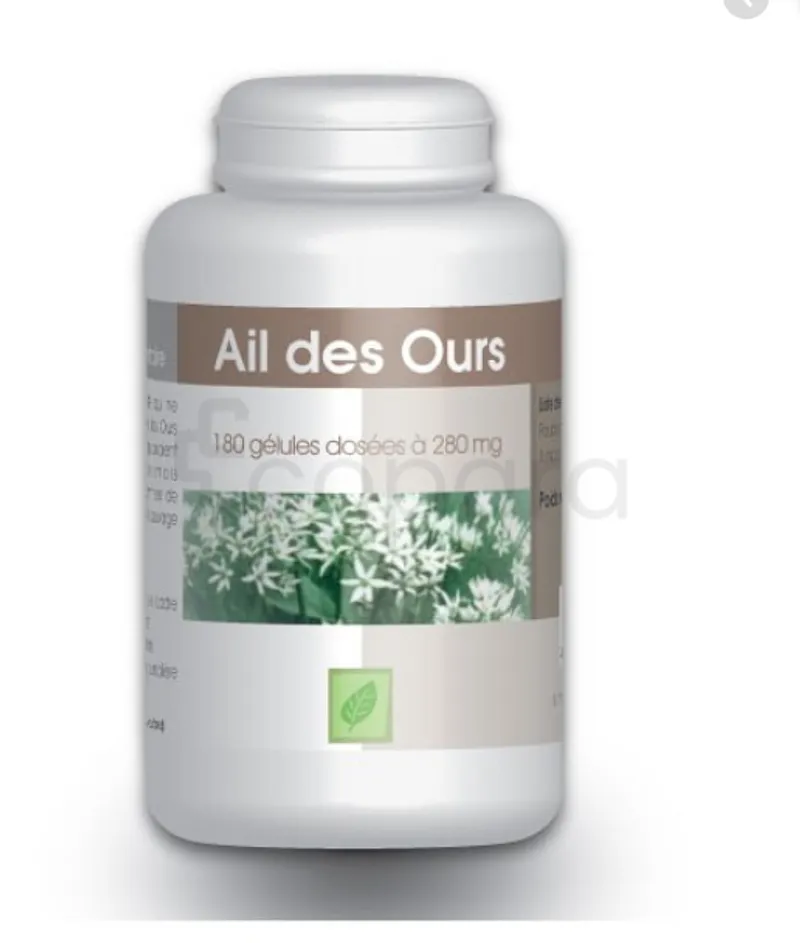 GPH AIL DES OURS 280MG BOITE DE 180 GELULES
