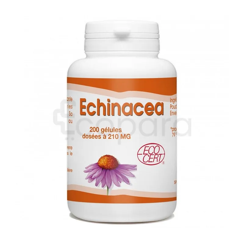 GPH ECHINACEA BIO 210MG BOITE DE 200 COMPRIMES