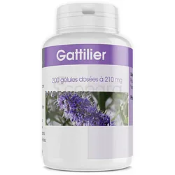 GPH GATTILIER 210MG BOITE DE 200 GÉLULES
