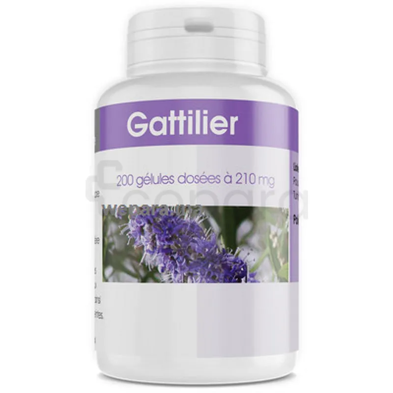 GPH GATTILIER 210MG BOITE DE 200 GÉLULES