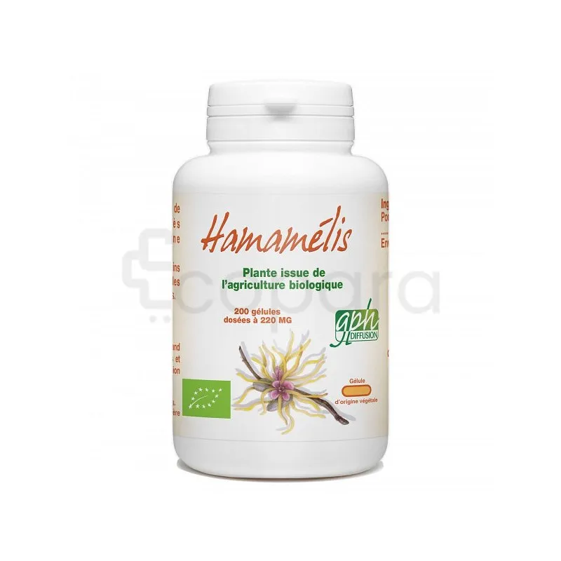 GPH HAMAMELIS BIO 220MG BOITE DE 200 GELULES
