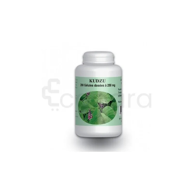 GPH KUDZU 250MG BOITE DE 200 GELULES