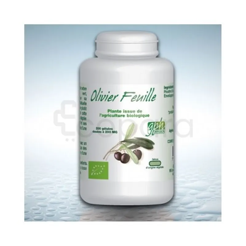GPH OLIVIER FEUILLE BIO 200MG BOITE DE 200 GELULES