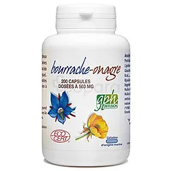 GPH BOURRACHE-ONAGRE BIO 503MG BOITE DE 200 CAPSULES